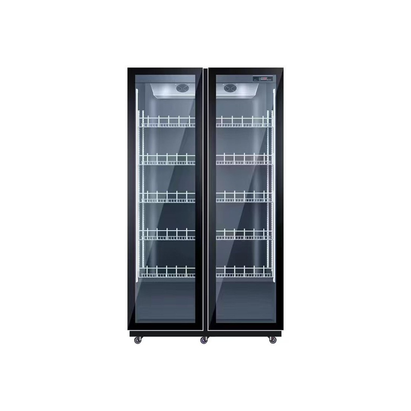 ثلاجة تبريد الهواء بباب مزدوج، - مراجعة Wine Beer Dual Zone وسعره